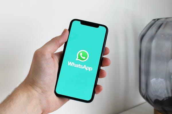 WAcaring-the best WhatsApp online tracker